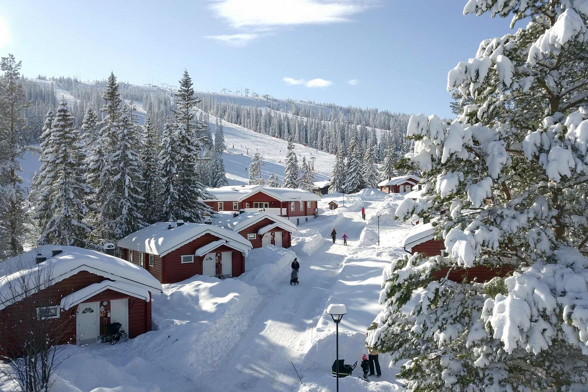 Röda byn - billede 2
