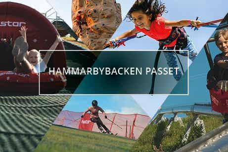 HammarbybackenPasset